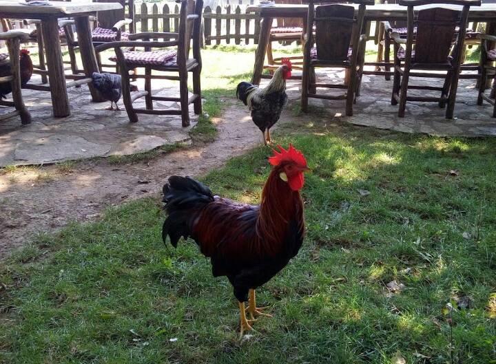 Farm Stay Cardaklije Kulen Vakuf Εξωτερικό φωτογραφία